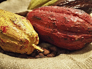 cabosside cacao 2